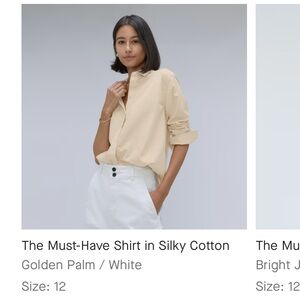 Everlane Silky Cotton Shirt